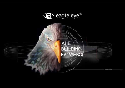   EAGLE EYE